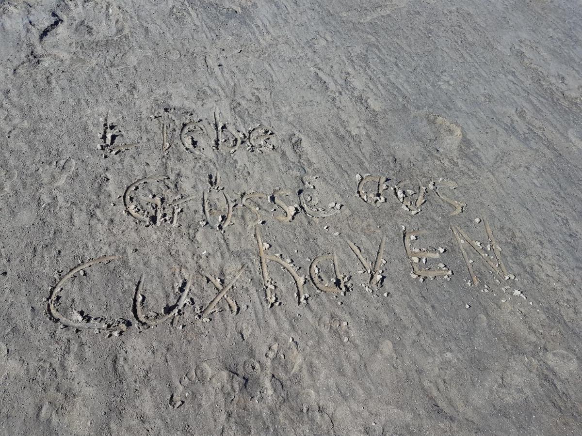 Kleine Nixe Seestern Cuxhaven Exteriör bild